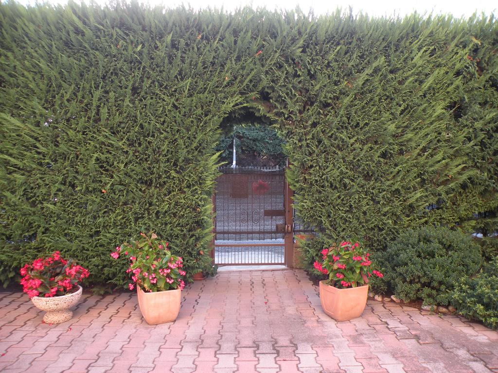 Casa Oriana Villa Rosolina Exterior photo